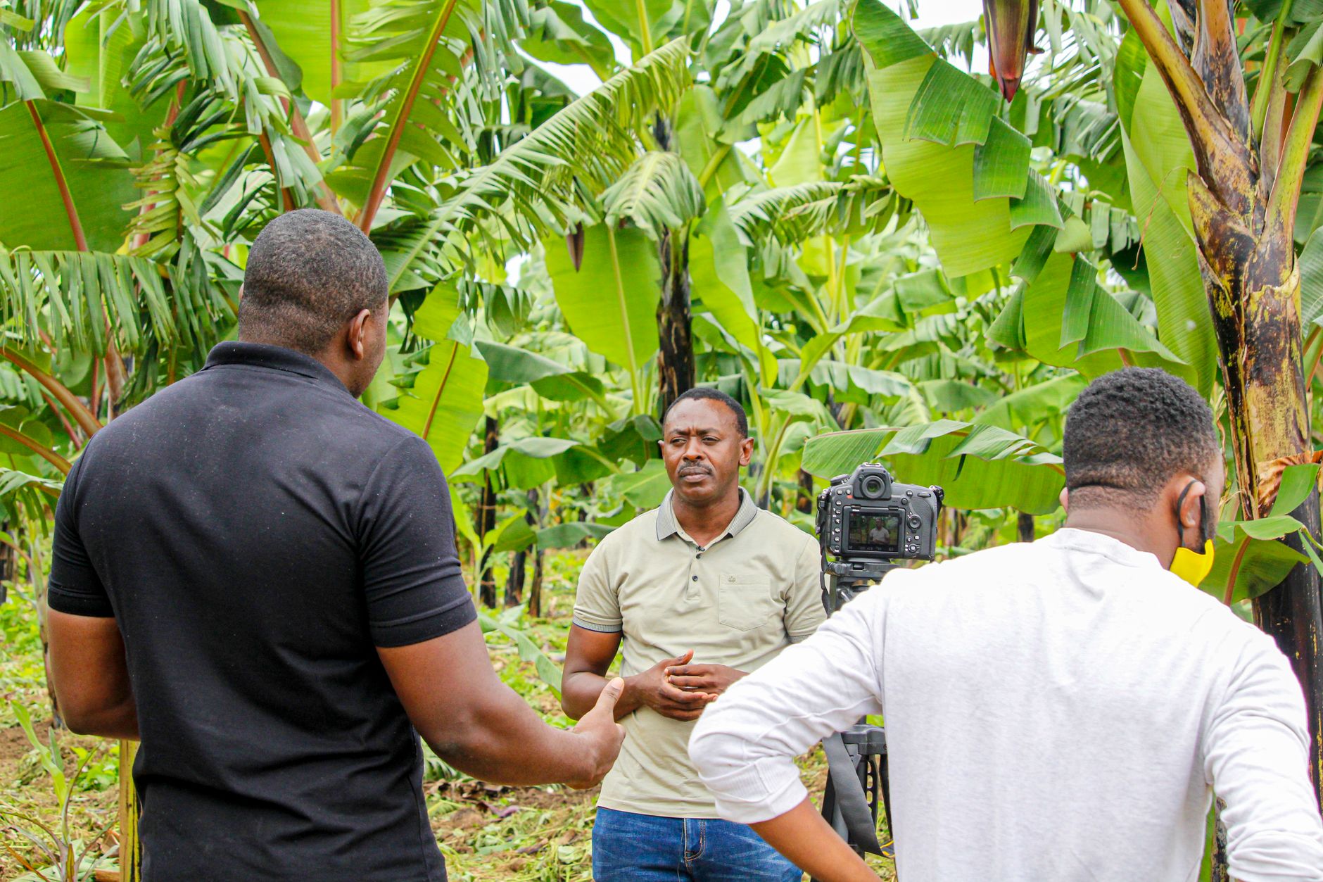 Beyond Just ‘Writing’: A quick note on content direction